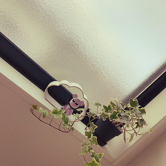 yuuさんの実例写真
