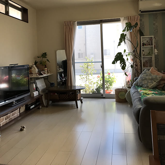 alchoさんの実例写真