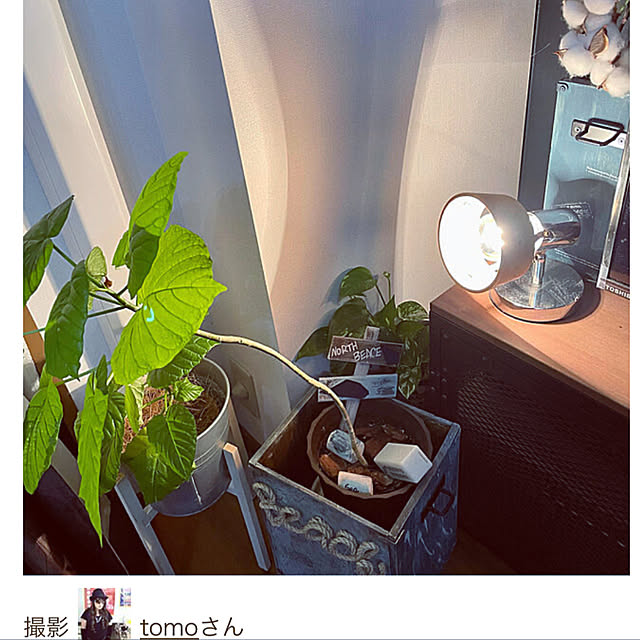 tomoさんの実例写真