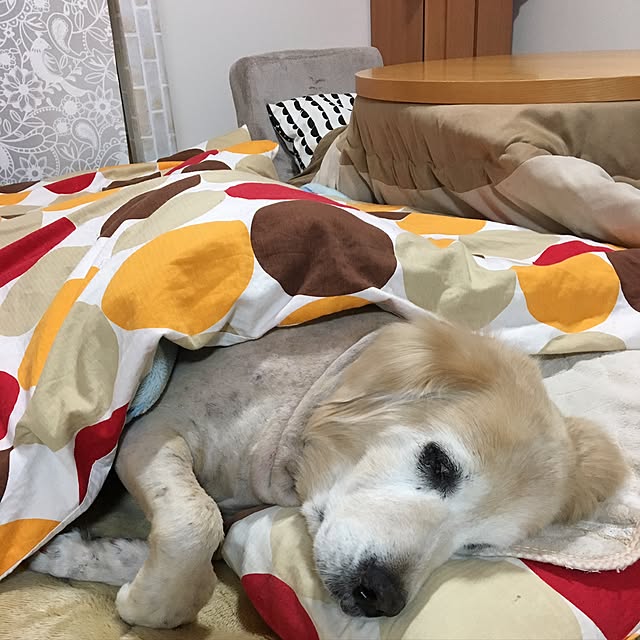 Poaluさんの実例写真