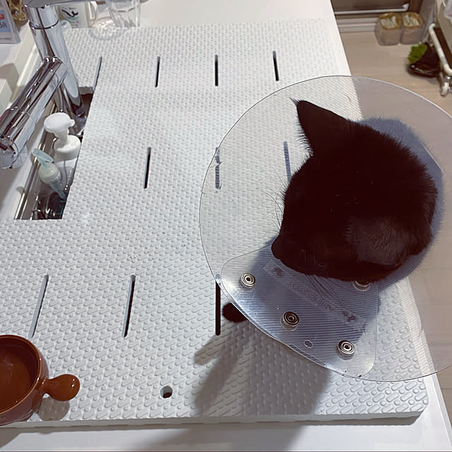 naturalさんの実例写真