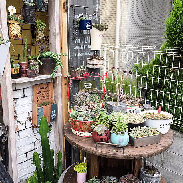 natulove0418さんの実例写真