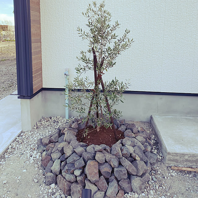 kaorinさんの実例写真