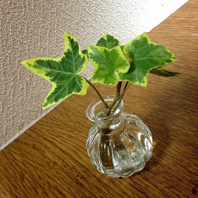 L.さんの実例写真