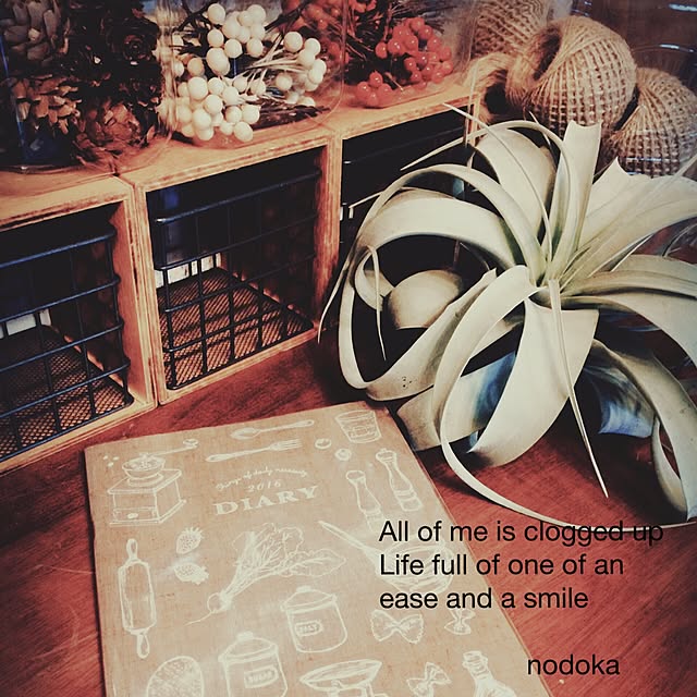nodokaさんの実例写真