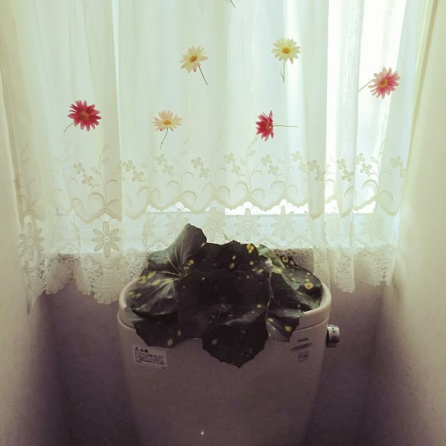shoko0420さんの実例写真