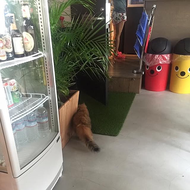 Daisukeさんの実例写真