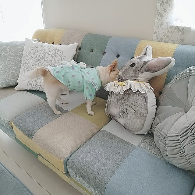 PAOさんの部屋