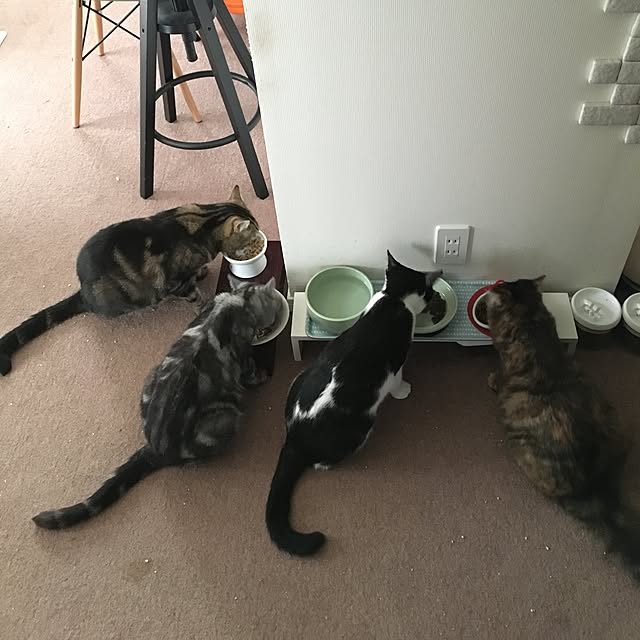 mikomaruさんの実例写真