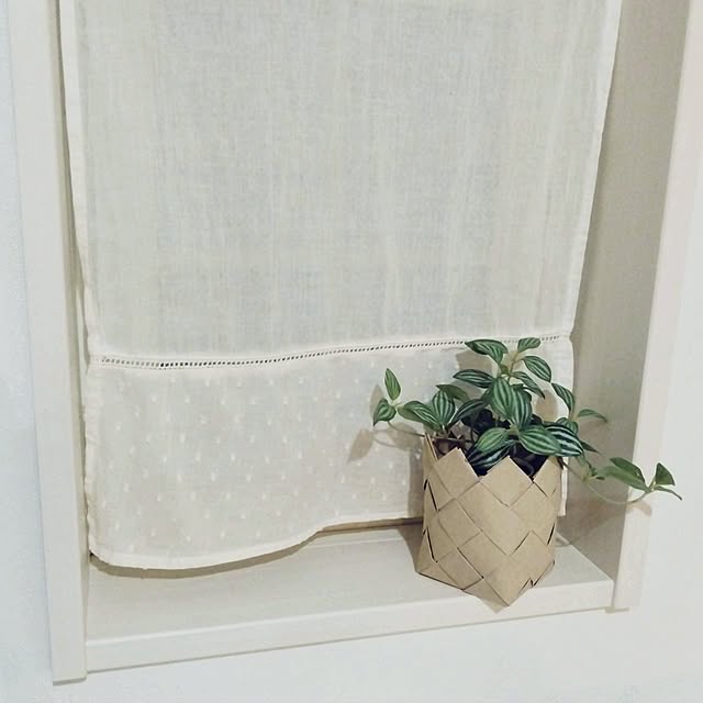 SSSSSさんの実例写真