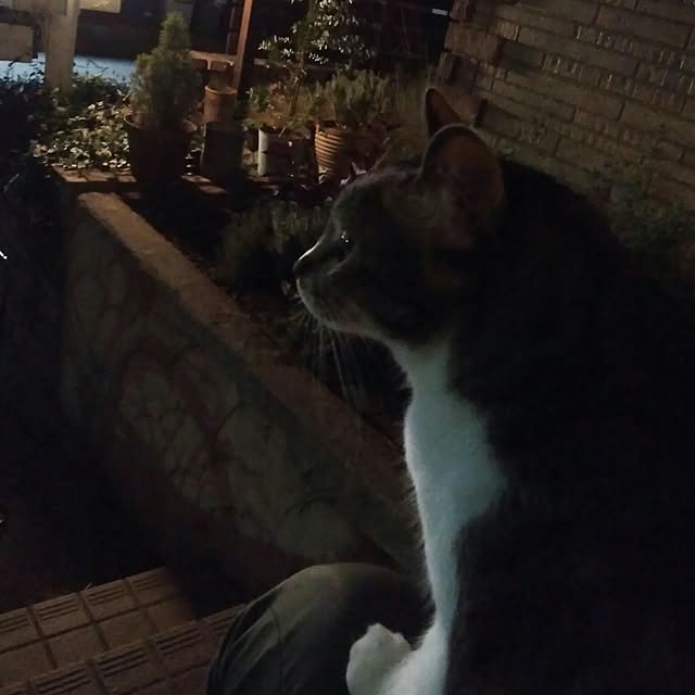 tomo1220さんの実例写真
