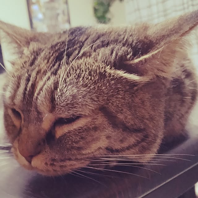 runaさんの部屋