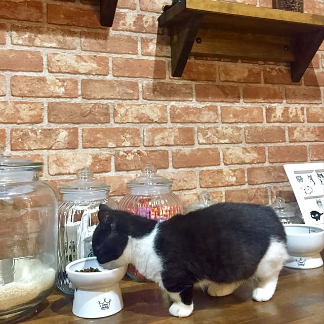 butachanさんの実例写真