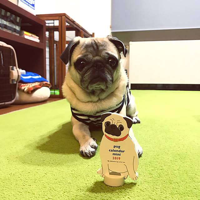 kellyさんの実例写真