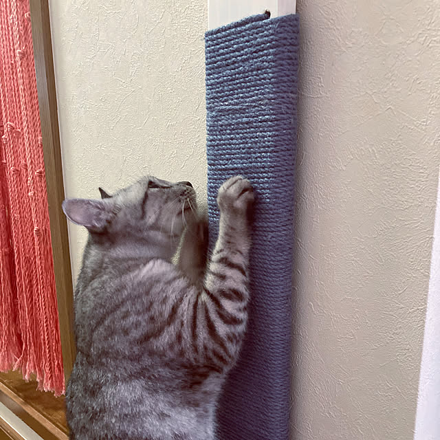 ZakkuriDIYさんの実例写真