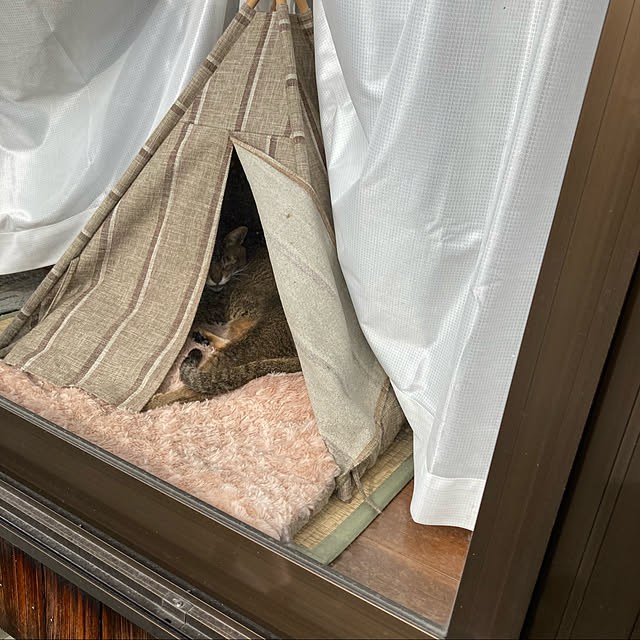 zabonzabonさんの実例写真
