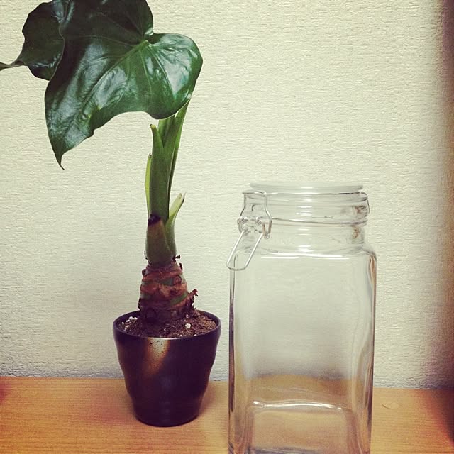 shiさんの実例写真