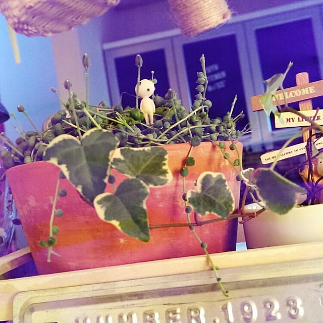 yuyuさんの実例写真