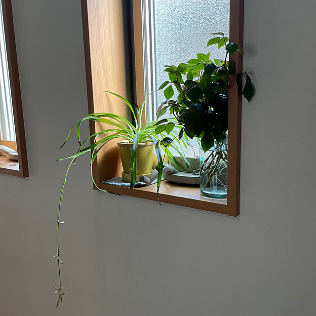 nanachanmamaさんの実例写真