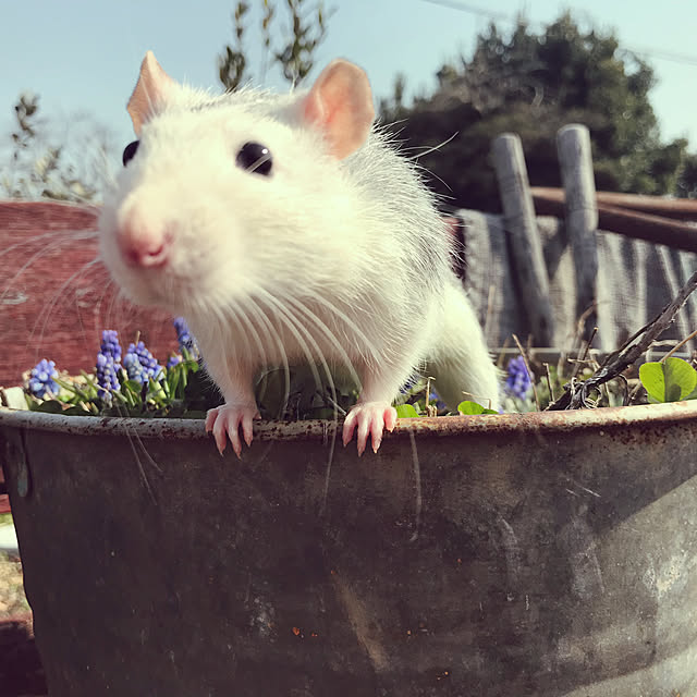 TOROさんの実例写真