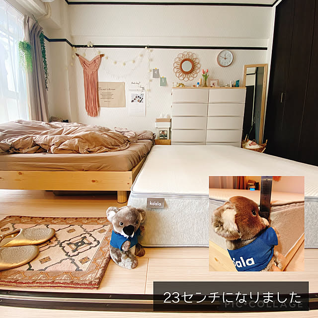 pippiさんの実例写真