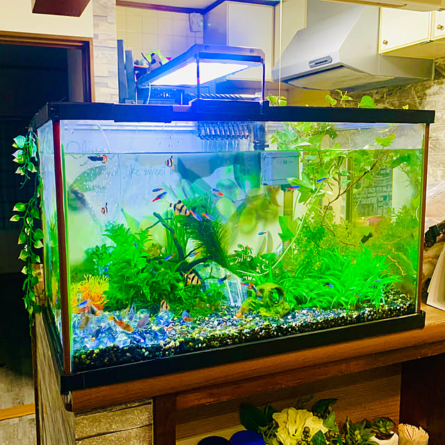 tututu0204さんの実例写真