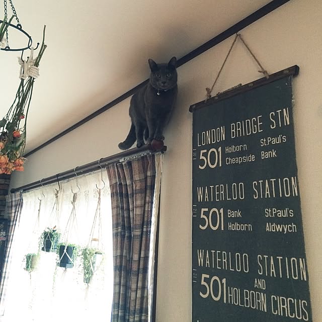 annさんの実例写真