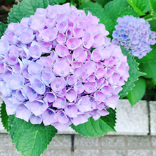 makiさんの実例写真