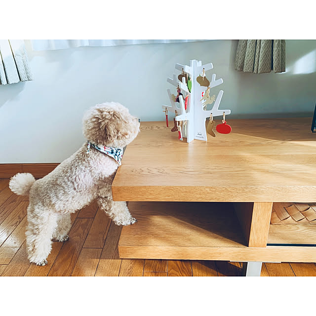 teaさんの実例写真