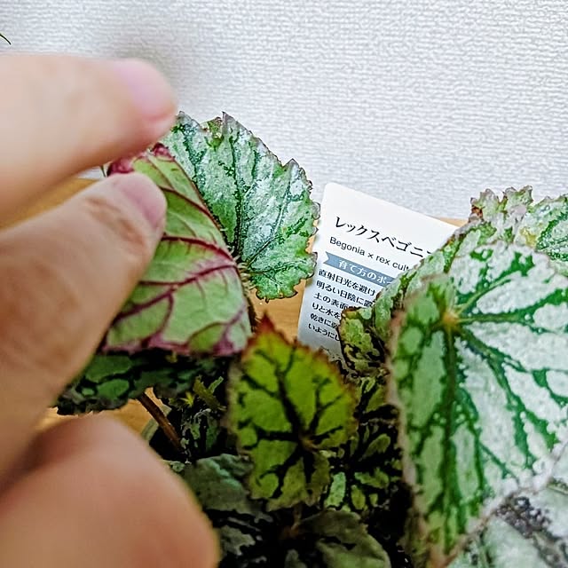 hanachanさんの部屋
