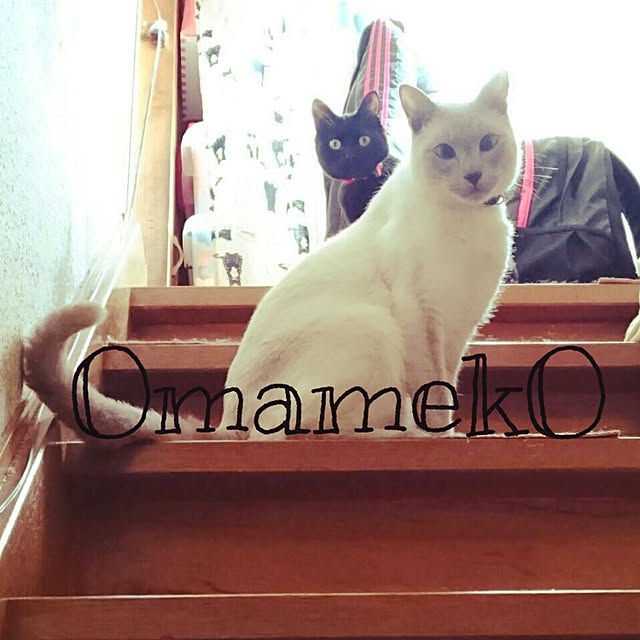 OmamekOさんの実例写真