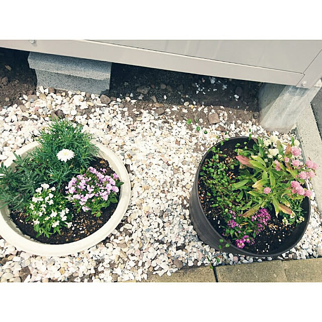 tata-kukuさんの実例写真