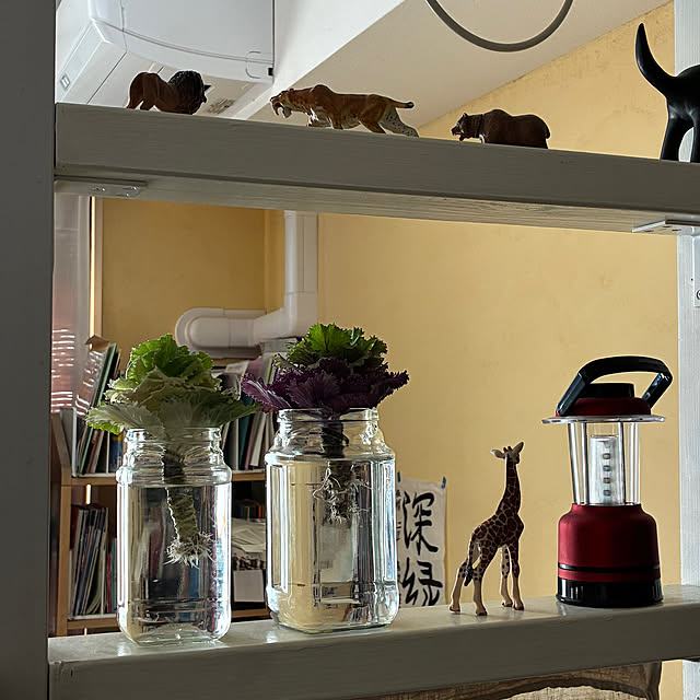 koshiregutyoさんの部屋