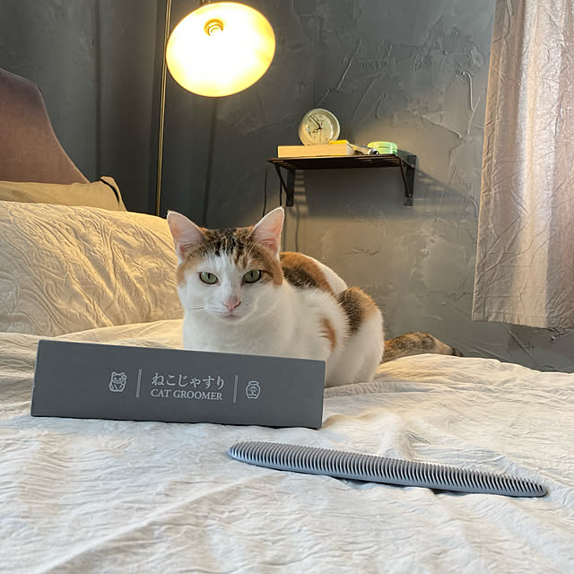 jill_lowさんの実例写真