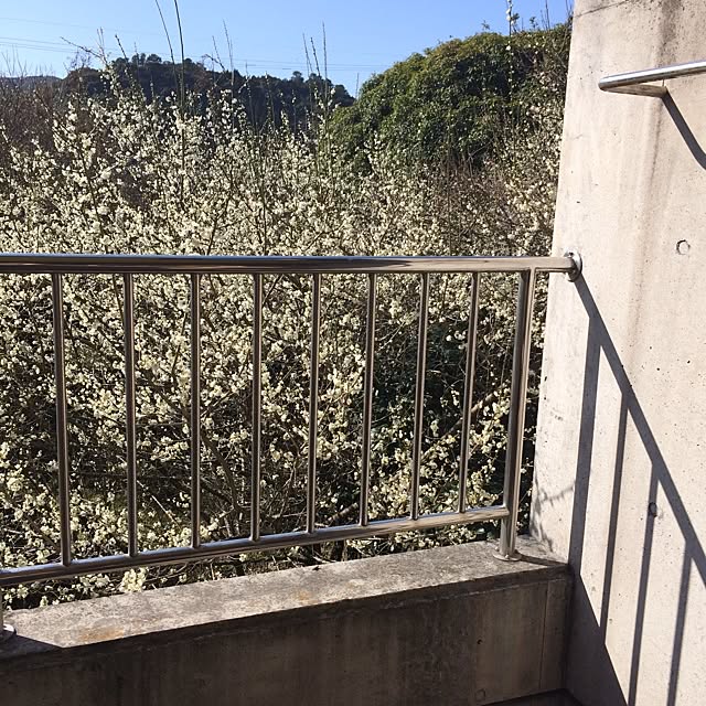 lovelinさんの実例写真