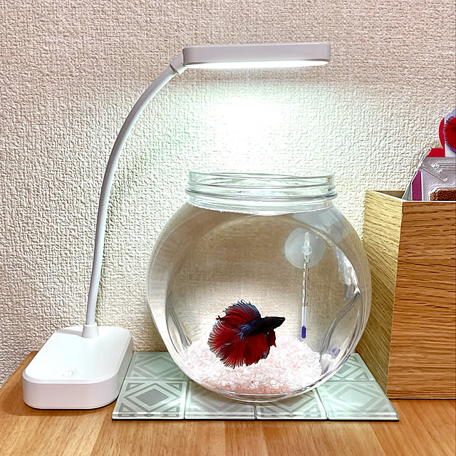 gurikkoさんの実例写真