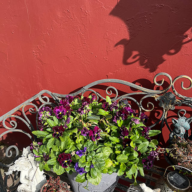 AYUKOさんの部屋