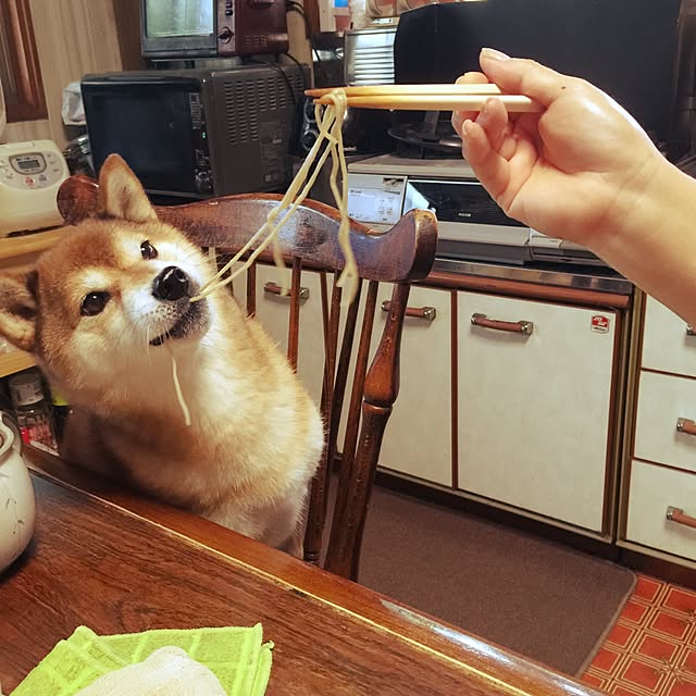 tarohagiharaさんの実例写真