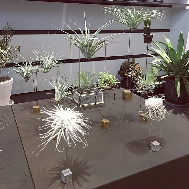 机のインテリア実例 - 2017-01-13 15:41:14