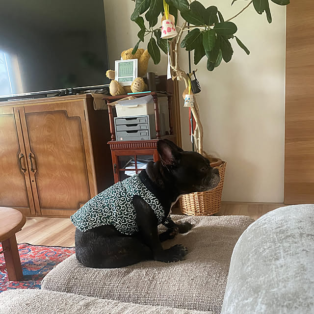 kotaroさんの実例写真