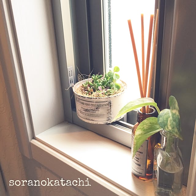 soranokatachiさんの実例写真