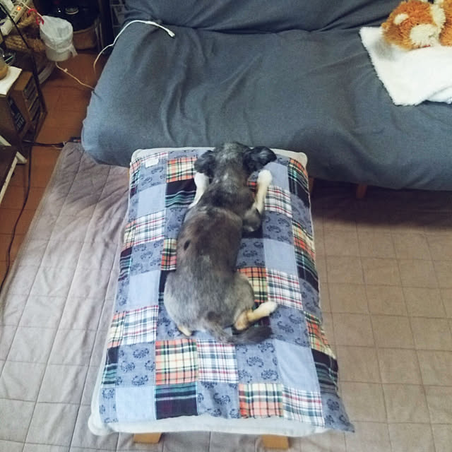 satominさんの実例写真