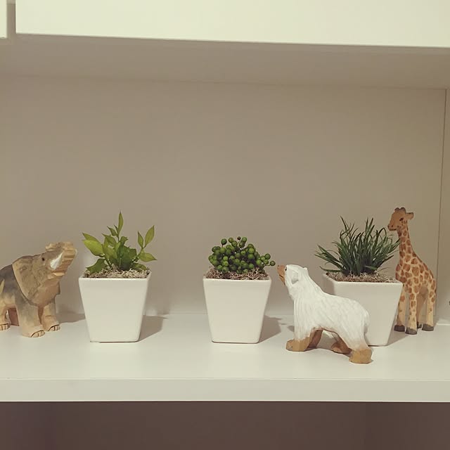 chienaさんの実例写真