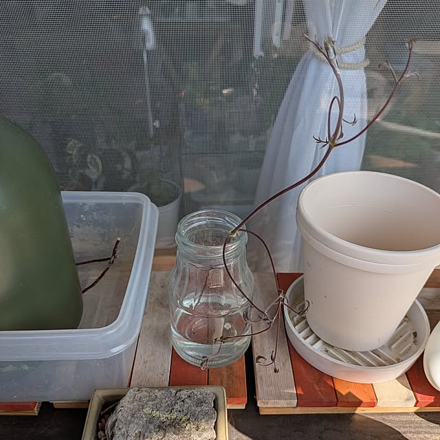 mi-saさんの部屋