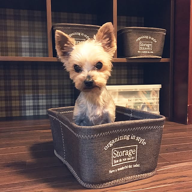 ohanaさんの実例写真