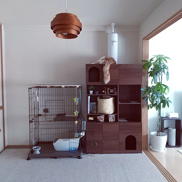 Akiさんの実例写真