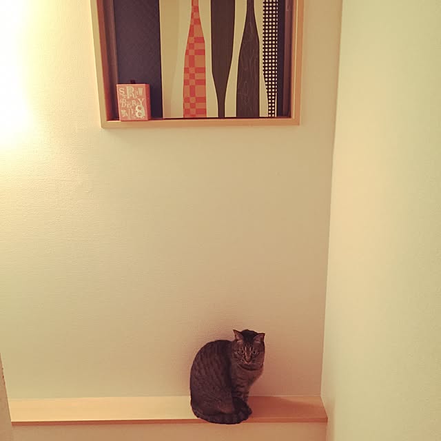 makiさんの実例写真