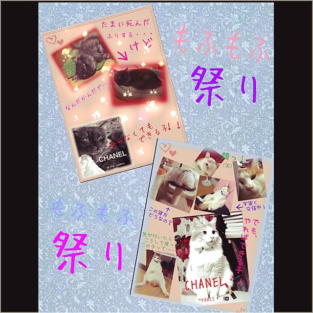 maria.rさんの実例写真