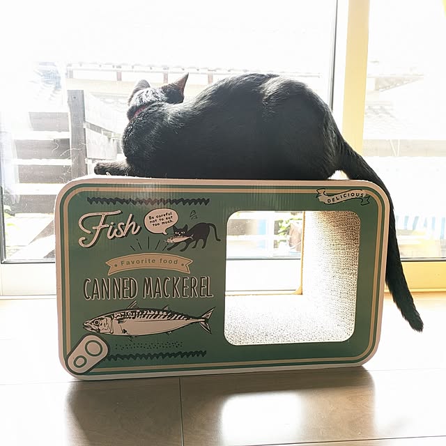 ciiiさんの実例写真
