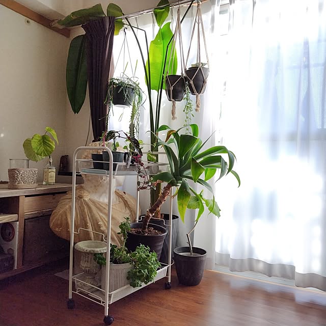 yuuu7712さんの部屋